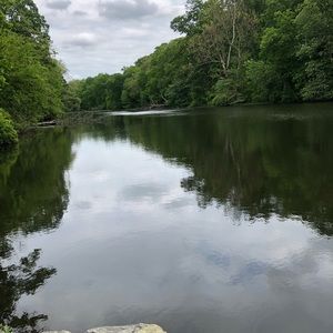 Meet your Posher, Craig